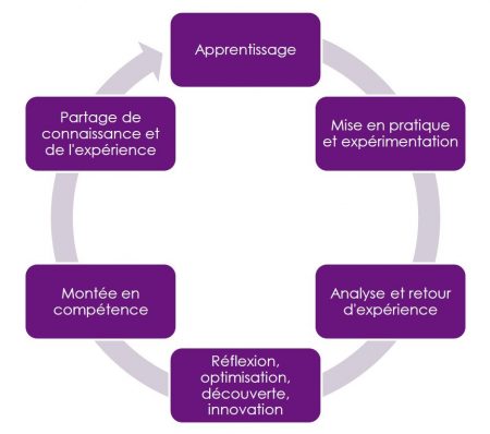 Schema formation universitaire