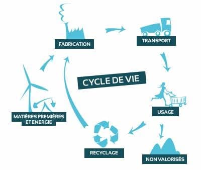 Cycle de vie Cycle de vie