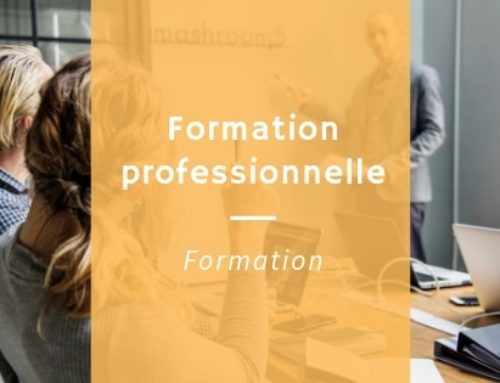 La formation professionnelle