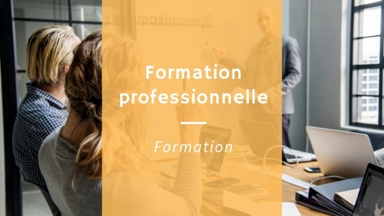 Formation professionnelle