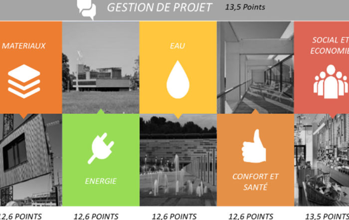 actu bdo nowatt ecozimut