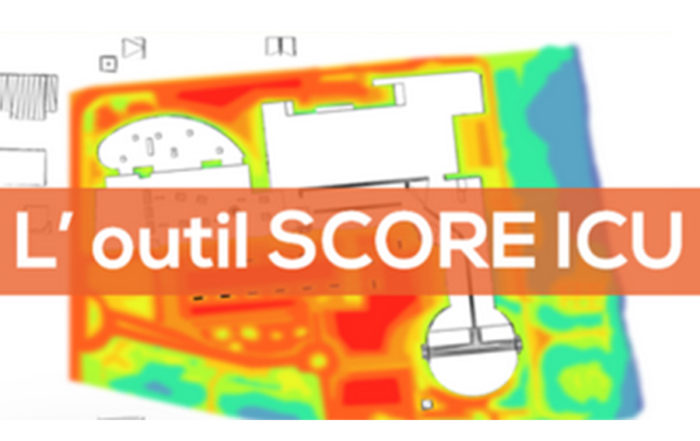 formation score ICU - ecozimut