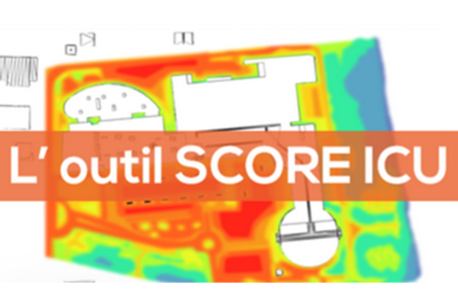formation score ICU - ecozimut
