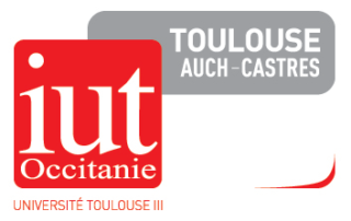 logo_IUT TOULOUSE