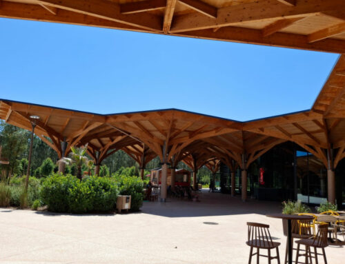 Retour sur la visite de l’usine STEICO et du Center Parcs Les Landes de Gascogne à Casteljaloux (47)