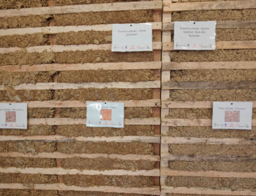 10 projets 2025 pour faire avancer la construction durable