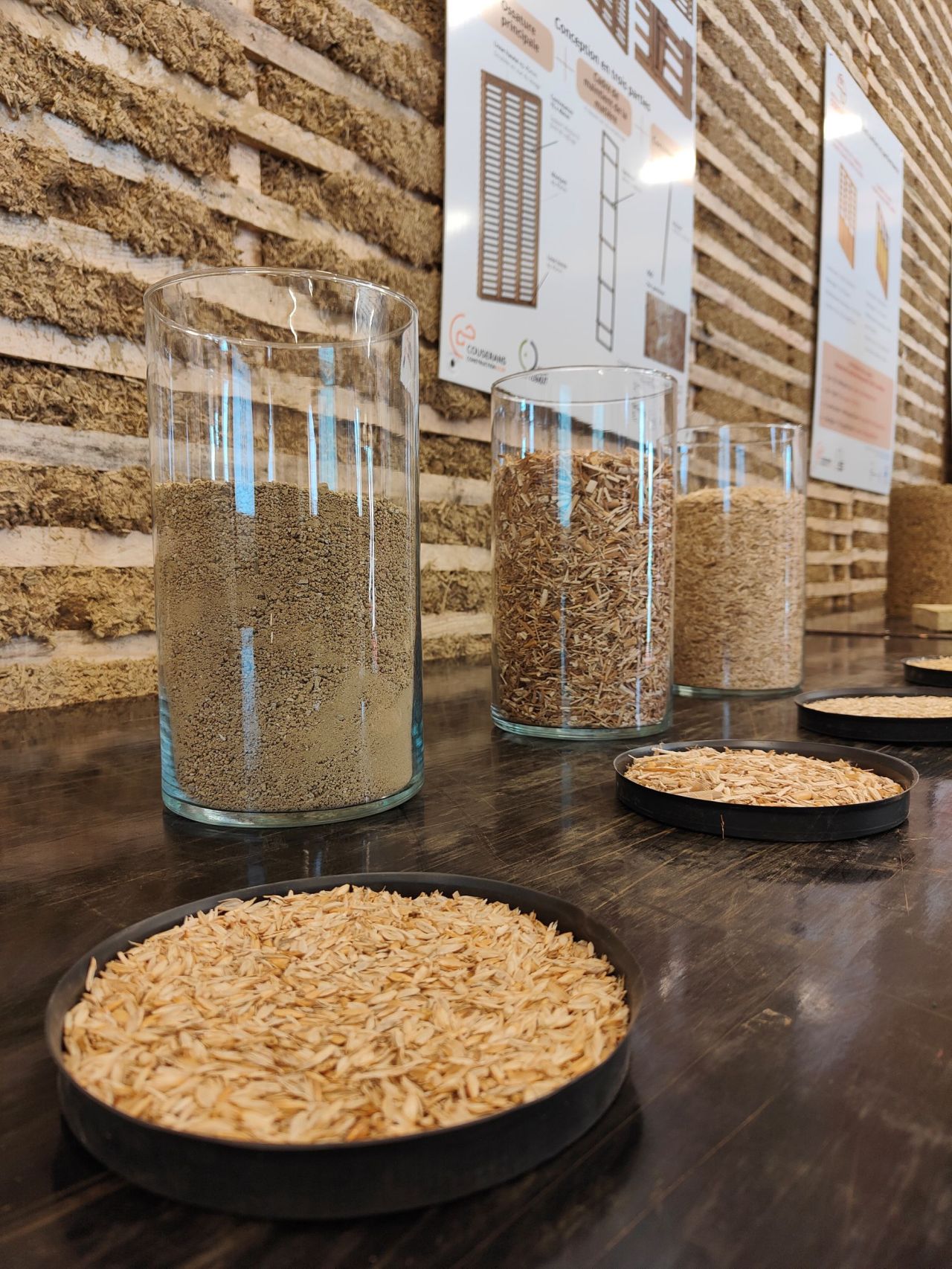 Cameleon 2026 Cameleon 2026