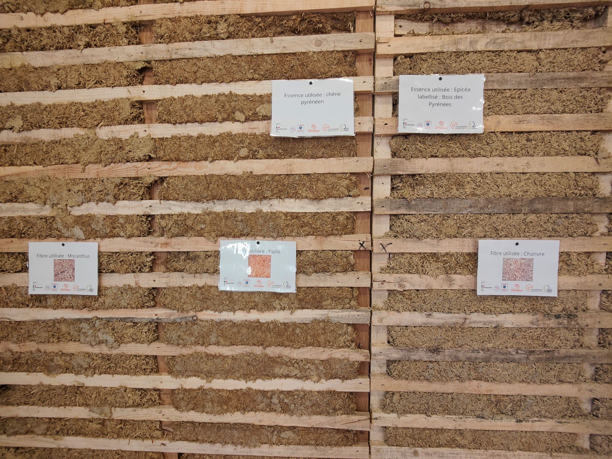 Cameleon 2026 Cameleon 2026