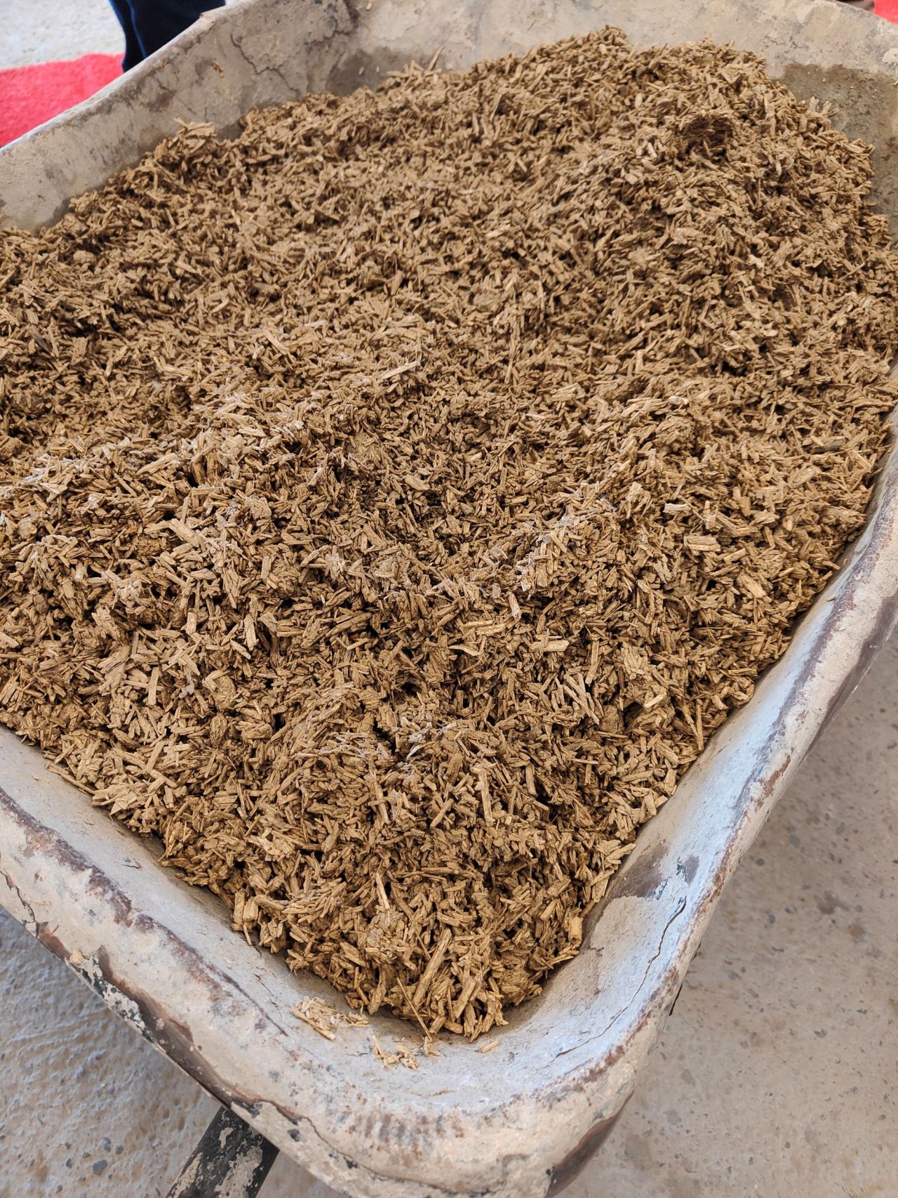 Cameleon 2026 Cameleon 2026